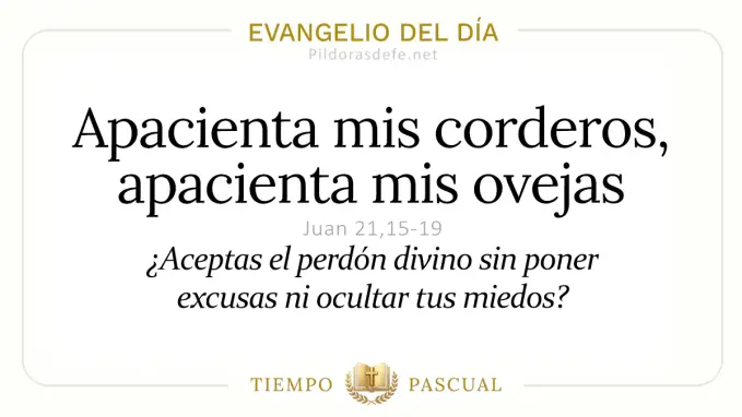 Evangelio del dia Viernes Juan    Apacienta mis corderos  may 